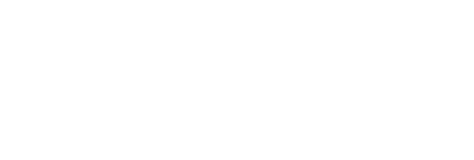 Vision Blog